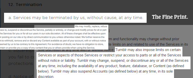 Terms of Service: Fine Print