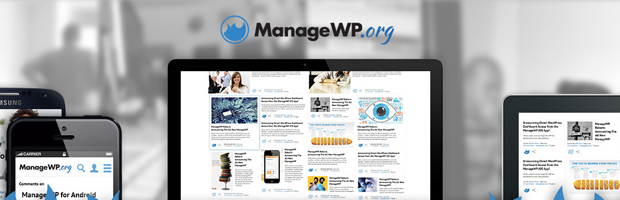 Manage WP Preview