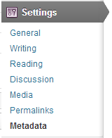 Add meta tags in the settings menu.
