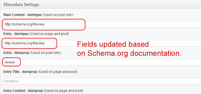 Screenshot of Microdata Manager with fields updated.